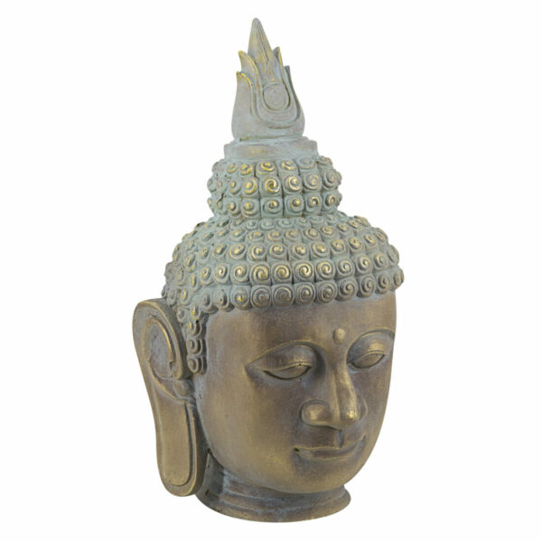 Cabeza De Buda Bicolor