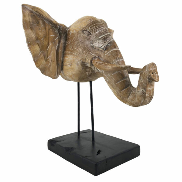 Cabeza Elefante Teka Blanqueada