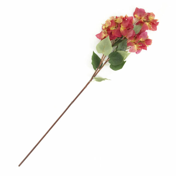 Campanillas Grace Naranja