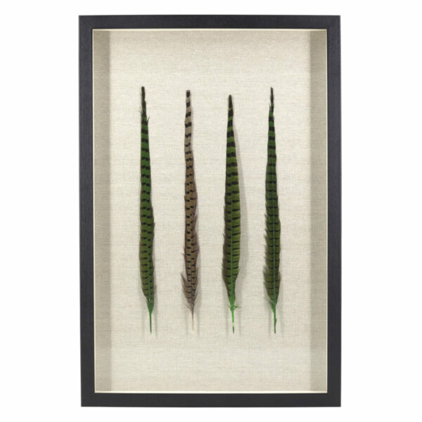 Cuadro Diana Cuatro Plumas