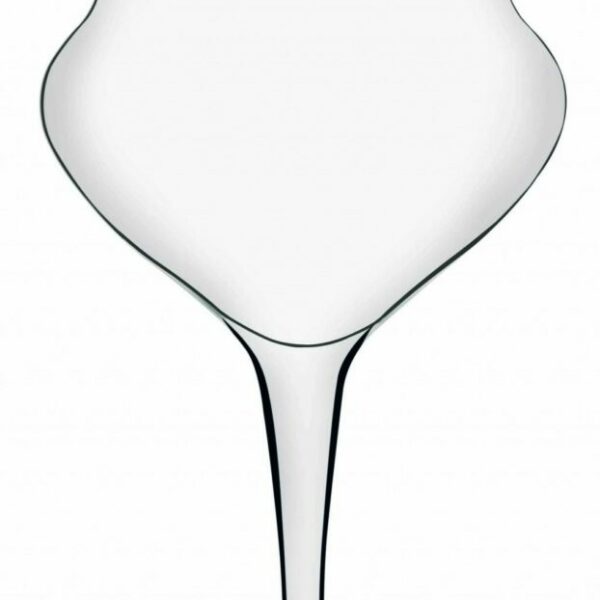 Decantador Oenomust 1,5 L
                        DECLG0315