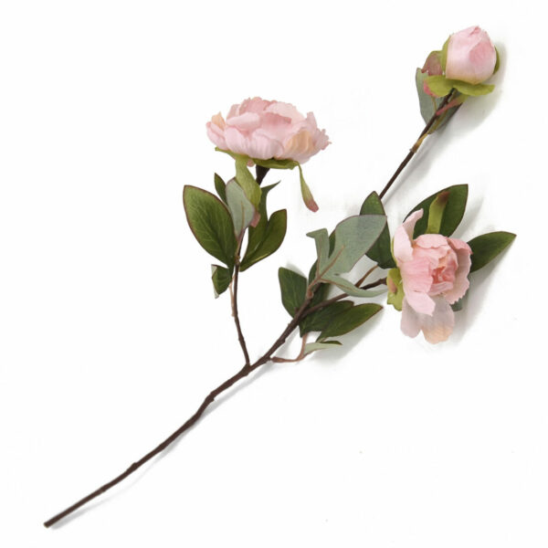 Peonia Tacto Real Rosa