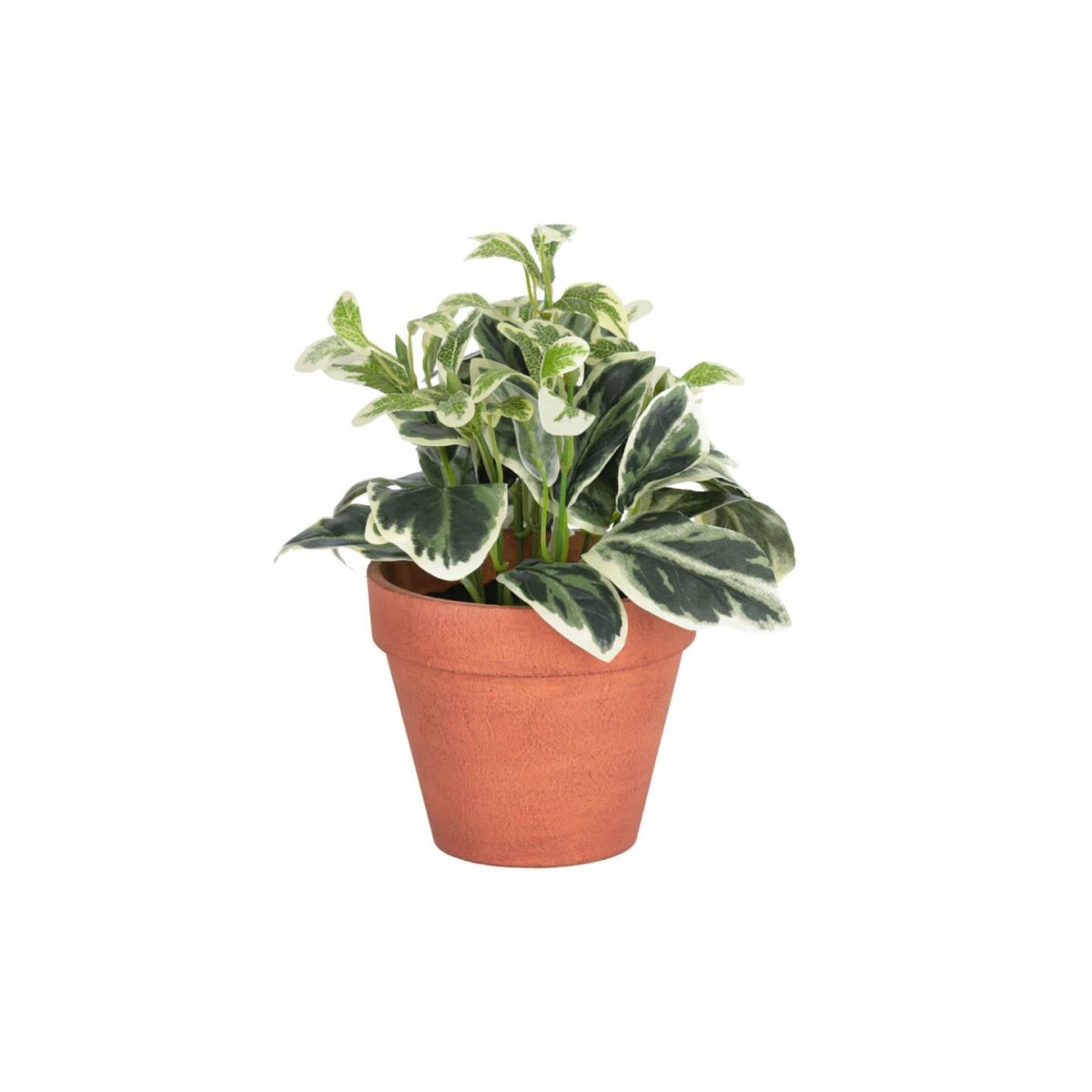 Planta artificial Aucuba con maceta marrón 22 cm