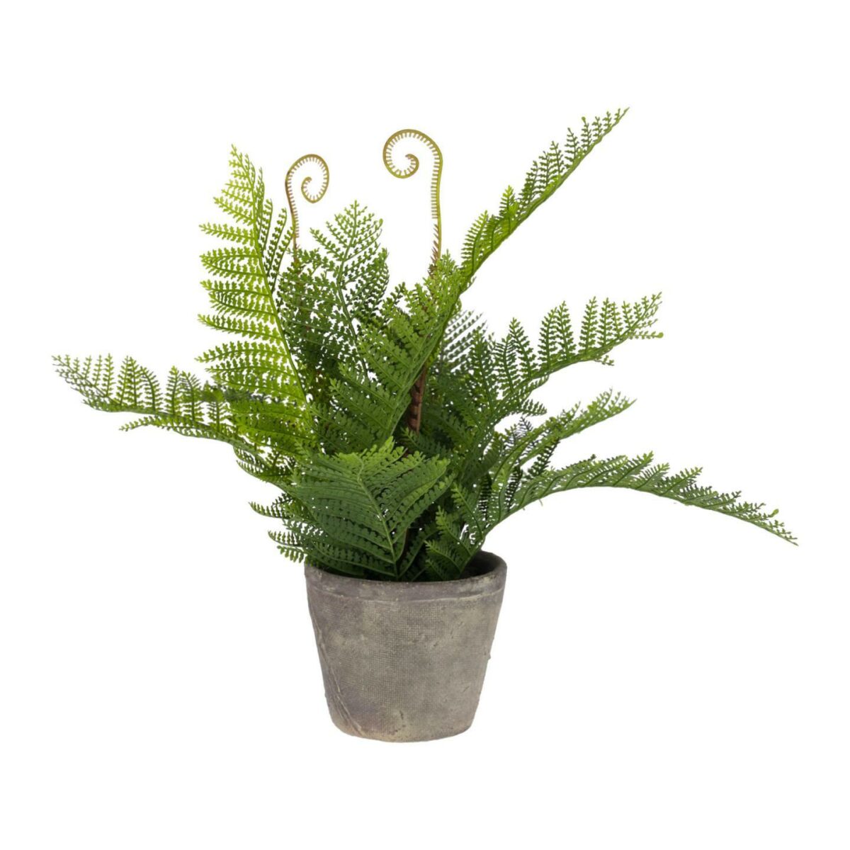 Planta artificial Filicopsida con maceta de cemento 35 cm