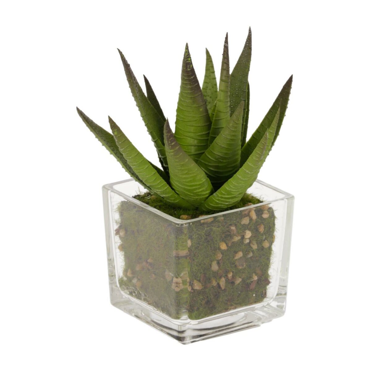 Planta artificial Hawortia con maceta de cristal 15 cm