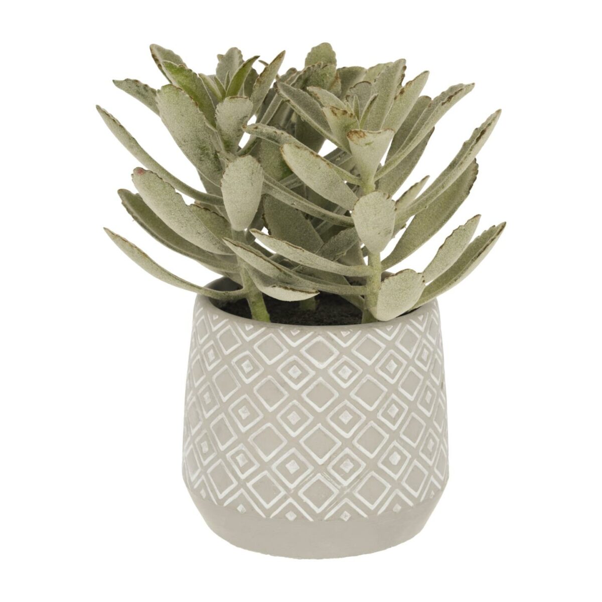 Planta artificial Kalanchoe tomentosa con maceta de cemento blanco y gris 23 cm