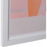 Cuadro Impresión Planta 2/M Blanco-Rosa 50 X 2 X 70 Cm