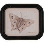 Cuadro Impresión Mariposas 4/M 30 X 2 X 25 Cm
