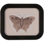 Cuadro Impresión Mariposas 4/M 30 X 2 X 25 Cm