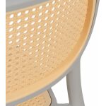 Silla Beige-Gris Polipropileno Salón 53,80 X 47,50 X 78 Cm